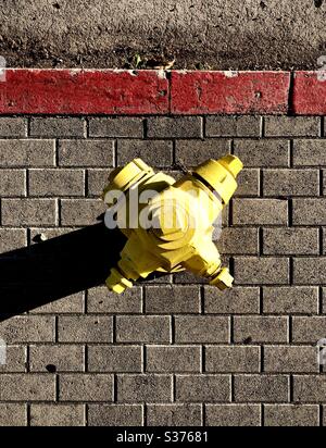 Frisch lackierter Hydrant leuchtet in der untergehenden Sonne in Los Angeles CA 6.13.2020 Stockfoto