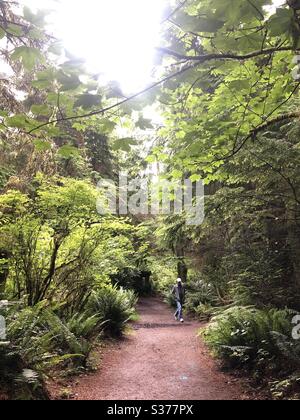 Wanderer auf einem Wanderweg am Point Defiance Park in Tacoma, WA Stockfoto