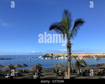 Palmen am Strand mit Stroh Sonnenschirmen Sonnenschirme und Hafen von Playa San Juan Teneriffa Kanarische Inseln Stockfoto