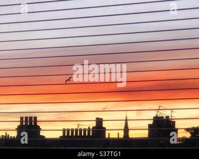 Sonnenuntergang über den Dächern der Stadt durch die Jalousien Stockfoto