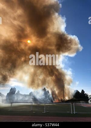 Feuer, das in Porto, Portugal, am Nachmittag des 4. Juli 2020 stattfindet. Das Feuer begann in der Vegetation um das Stadion der Fakultät für Sport der Universität von Porto. Stockfoto