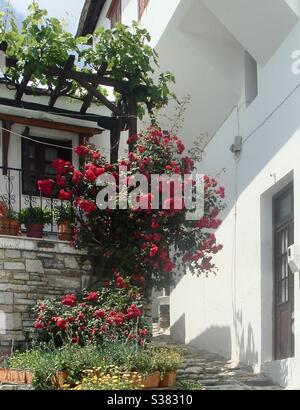 Häuser, die steil von der Hauptstraße in Makrinitsa auf der Halbinsel Pelion in der Nähe von Volos in Zentral-Griechenland. Das Dorf, ‘der Balkon des Monte Pelion’ genannt, ist von üppiger Vegetation umgeben. Stockfoto