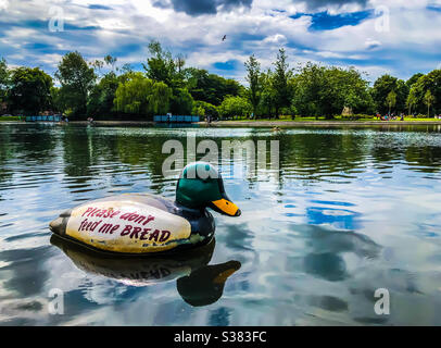 Bitte füttert mir kein Brot. Victoria Park Pond, Glasgow, Schottland, Großbritannien. Stockfoto