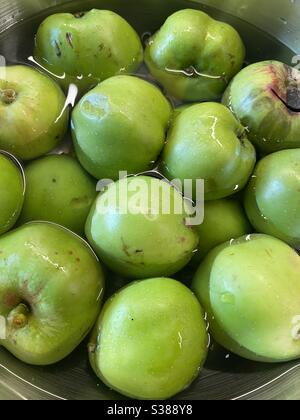 Frisch gepflückte Bramley-Äpfel in Wasser Stockfoto