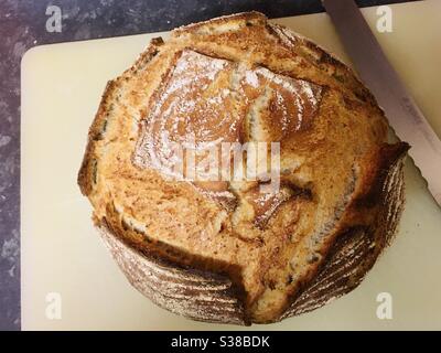 Frisch gebackener Sauerteig auf einem weißen Schneidebrett neben einem Messer - rustikales, handwerkliches Backen Stockfoto