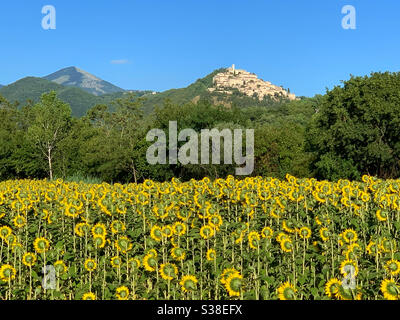 Sonnenblumen und Blick auf das Dorf Labro, Italien. Stockfoto