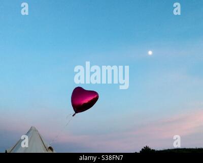 Camping Stockfoto