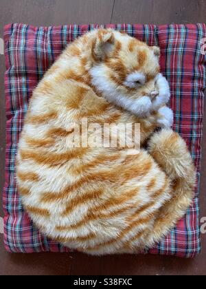 Spielzeugkatze auf rotem Tartan-Kissen, aufgerollt mit geschlossenen Augen. Stockfoto