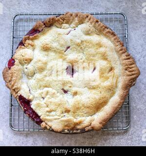 Hausgemachte Brombeere und Apfelkuchen Stockfoto