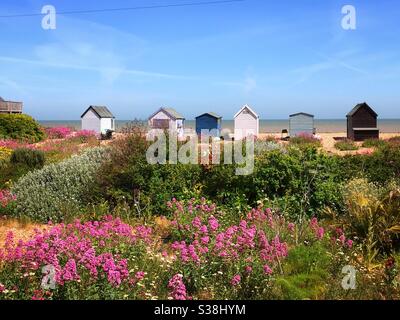 Strandhütten am Strand von Kingsdown Kent UK Stockfoto