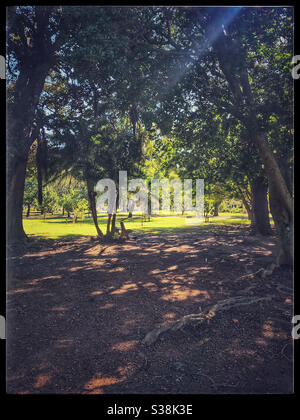 De Waal Park, Kapstadt, Südafrika. Stockfoto