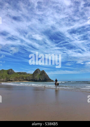 Einzelpferd und Hund auf Three Cliffs Bay, Gower, Swansea, Wales, August. Stockfoto
