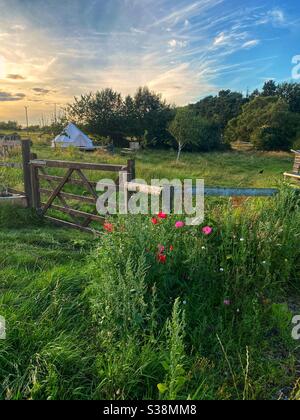 Glockenzelt auf einem Feld in Nord-wales in der Abenddämmerung Stockfoto