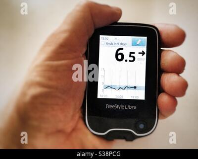 Freestyle Libre Flash Glucose Monitoring System Stockfoto