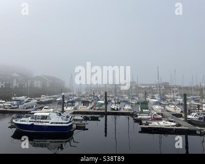 Aberystwyth, West Wales, Großbritannien Dienstag, 11. August 2020. Wetter: Ein nebliger Tag in Aberystwyth am Hafen und auch feucht. Bildnachweis: Rose Voon / Alamy Live News Stockfoto