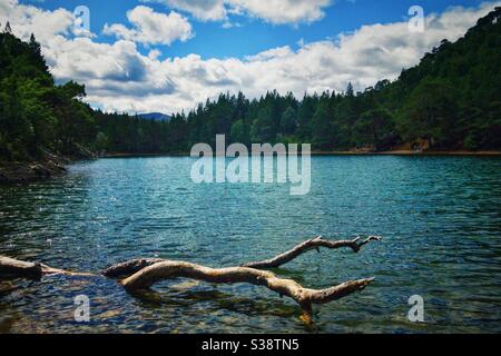 An Lochan Uaine (der grüne Lochan) im Glenmore Forest Park, Schottland. Stockfoto