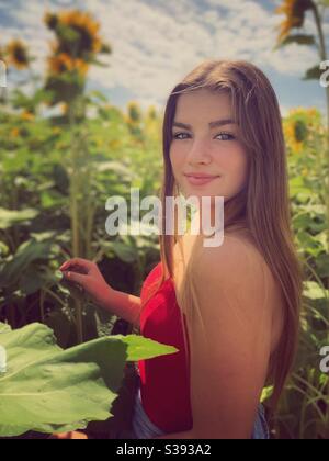 Junge Teenager-Mädchen posiert in einem Sonnenblumen-Patch. Stockfoto