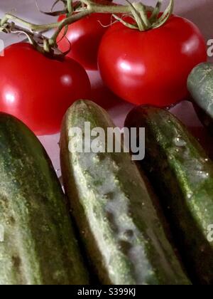 Frische Gartentomaten und Gurken Stockfoto