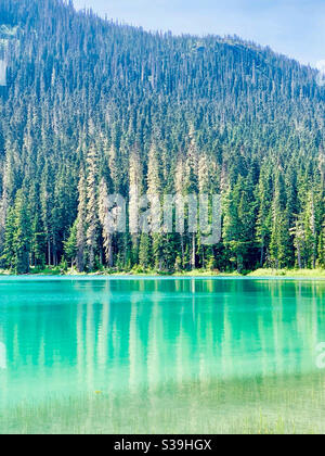 Joffre Untersee, Joffre Lakes Provincial Park, Britisch-Kolumbien, Kanada Stockfoto