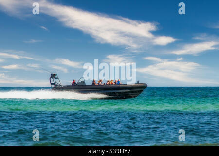 Ein Schnellboot rast mit Menschen über das türkisblaue Wasser Über den Wellen und lässt einen Brunnen hinter sich sprühen IT Stockfoto