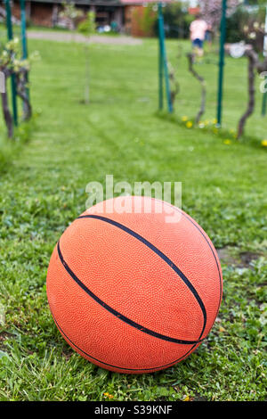 Orange Basketball liegt auf einem grünen Feld im Garten zwischen Weinreben, warten auf Gebrauch Stockfoto