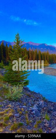 Reisen nach Alberta, entlang der TransCanada Autobahn, Bow River, Canadian Rockies, Banff National Park, Kanada Stockfoto