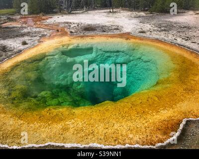 Morning Glory heiße Quelle im Yellowstone National Park Stockfoto