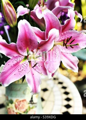 Leuchtend rosa Lilien in Vase auf Tisch mit schwarzen und weißen Mosaikfliesen. Stockfoto