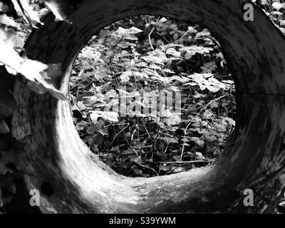 Der Tunnel im Wald Stockfoto