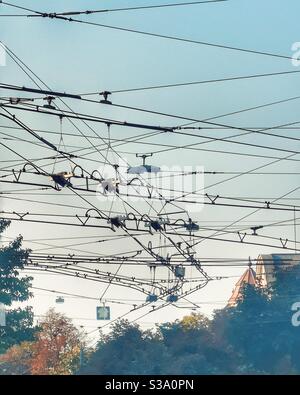 Kabelgewirr, Bern, Schweiz Stockfoto