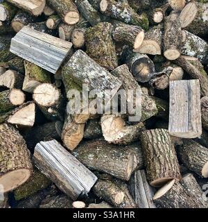 Stapel von Eichenstämmen für Brennholz. Stockfoto