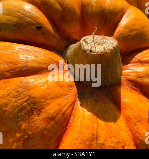 Nahaufnahme eines orangefarbenen Kürbisses. Halloween Festival Schnitze deinen Kürbis. Kürbisgesicht Stockfoto
