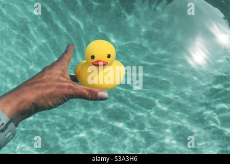 Die Hand der Frau greift unter Wasser in einem Außenpool mit Sonnenlicht nach einer gelben Gummiente. Stockfoto