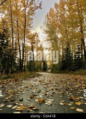 Herbsttag auf Ship Creek Trail, Anchorage, Alaska. Stockfoto