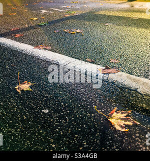 Herbstblätter auf nassem Asphalt mit weißer Linie. Stockfoto