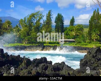 KE’anae Peninsula, Maui, Hawaii Stockfoto