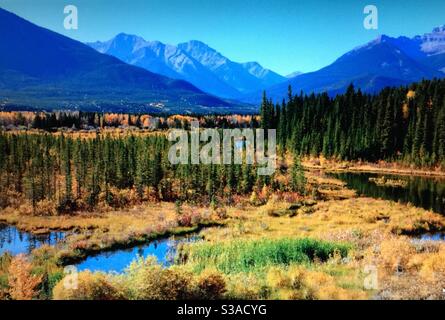 Reisen Alberta, Vermillion Lakes, Banff National Park, alberta, Kanada, Kanadische Rockies, Wildnis, Wald, Berge, Stockfoto