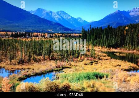 Reisen Alberta, Kanada, Vermillion Lakes, Banff National Park, Herbstfarben, saisonal, Kanadische Rockies, Landschaft Stockfoto