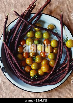 Tomaten und Bohnen aus einem städtischen Garten geerntet Stockfoto