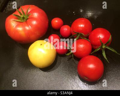 Tomaten verschiedene Größen und Farben auf nassen schwarzen Brett Stockfoto