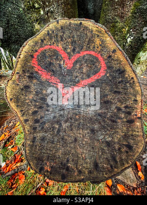 Herzform in rot auf Baumstumpf gemalt Stockfoto