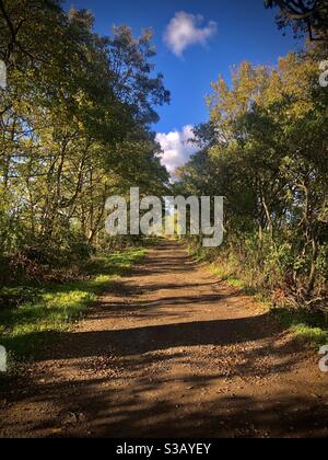 Herbstliche Spaziergänge Stockfoto