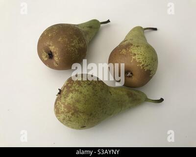 Trio von Birnen vor weißem Hintergrund Stockfoto