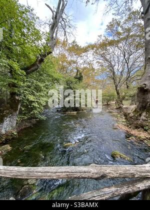 Agios Nikolaos in der Stadt Naoussa in Griechenland. Herbststimmung rund um den grünen Park mit kleinen Flüssen gefüllt. Stockfoto