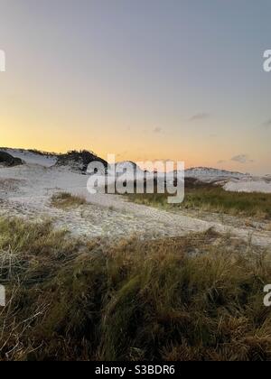 Sonnenaufgang am frühen Morgen über weißen Sanddünen am Florida Strand Stockfoto