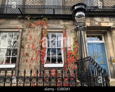 Georgian Haus in Edinburgh New Town mit Geländer, Lampe, rote Reben und blaue Haustür Stockfoto