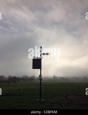 Eine Krähe thronte an einem kalten und nebligen Wintertag auf einem Schild im Lordship Recreation Ground, Tottenham, London Stockfoto
