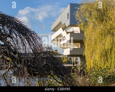 Baum und Teil des Central Hall-Gebäudes an der York University, Großbritannien Stockfoto