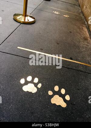 Bürgersteig außerhalb von Cartier verfügt über Gold Pfote Drucke in der sozialen Distanzierung Linie, New York City, 2020 Stockfoto