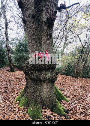 Weihnachtsbaum Stockfoto